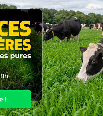 AGRYCO_SEEDS_Fourragere_190826