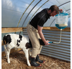 Lot de 4 Sacs de colostrum avec embout et tube - ANTAHI