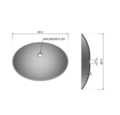 Disque lisse ∅610x6 pour cover crop adaptable