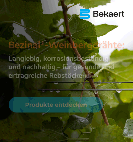 202602-BEKAERT-VIGNE