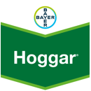 HOGGAR | Fongicide