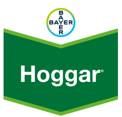HOGGAR | Fongicide