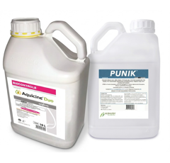 Pack AQUICINE DUO (1 x 10L) + PUNIK (3 x 1L) | Fongicide