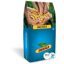 Saatmais - DKC3323 (S230 K250) DEKALB