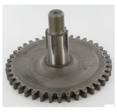 Pignon pour faucheuse KUHN 55920200 origine