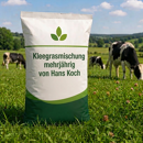 Kleegrasmischung mehrjährig von Hans Koch