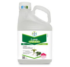 Luna® Experience | Systemisches-Fungizid