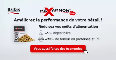 AGRICO_NUTRITION_MAXAMMON_0924