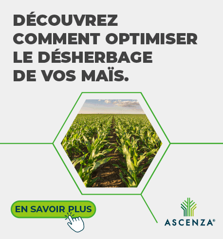 202604_ASCENZA_HOME_HERBI