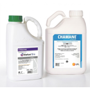 Pack 7ha ELATUS ERA (1 x 5L)+ CHAMANE (1 x 2L) | Fongicides céréales