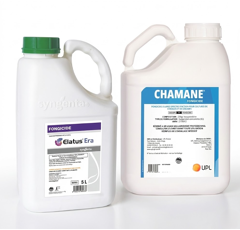 Pack 7ha ELATUS ERA (1 x 5L) + CHAMANE (2 x 1L) | Fongicides céréales