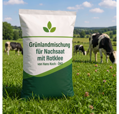 Grünlandmischung für Nachsaat mit Rotklee von Hans Koch - ÖKO