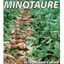 Betterave fourragère - Minotaure