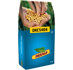 Maïs grain 540 - DKC5404