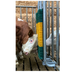 Brosse à ressort avec cadre de protection pour taureaux | PATURA