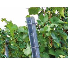 Dr. Reisacher Endpfahl P5E - Bandverzinkt - Z275