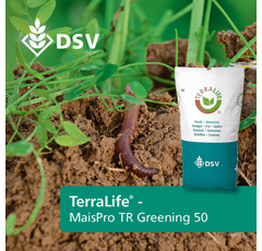 Zwischenfruchtmischung - TerraLife MaisPro TR 50