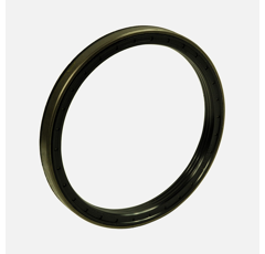 Dichtung Radnabe für Traktor CASE IH - DAVID BROWN - LANDINI 0200047705 - 03225110 - 043145R1 Nachbau