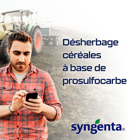 202610_Syngenta_Home_Qualicible