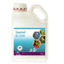 Seamel BLOOM