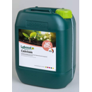 Lebosol - Calcium | Netz-und Haftmittel