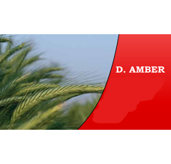 Seigle mixte d'hiver - D. Amber