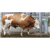 Support en inox pour abreuvoir 25R | SUEVIA
