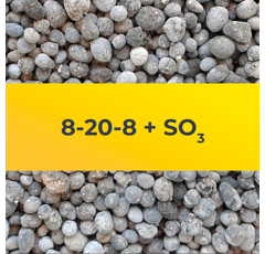 8-20-8 + SO3 - Fertilizante