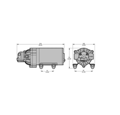 Pompe de pulvérisation 8,3 l/min - EVERFLO 2200