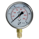 Manomètre Ø 100 mm - 1/2''M - 0 à 10 bars WIKA