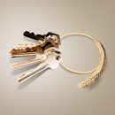 KWS Receptor - Hybrider Winterroggen