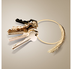 KWS Receptor - Hybrider Winterroggen