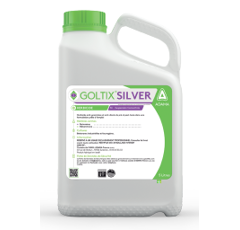 GOLTIX SILVER