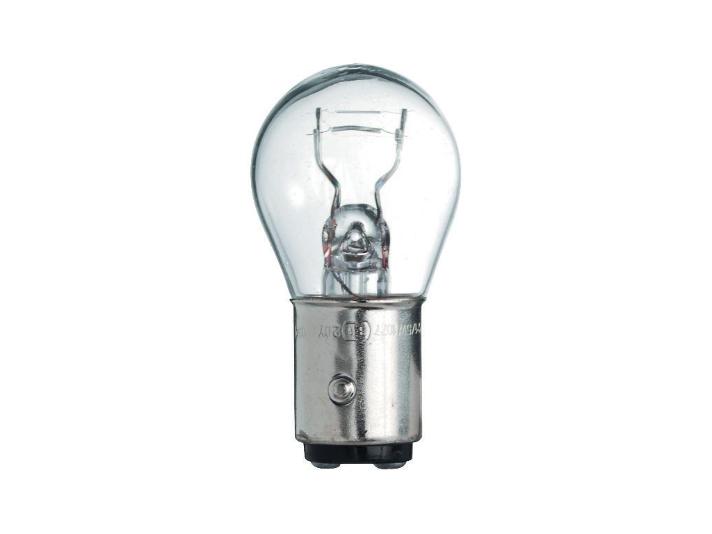 10 Leuchtmittel 12V 21W/5W | Agriconomie