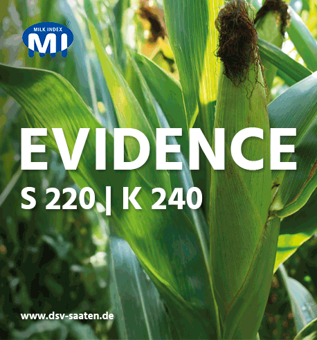 DSV_EVIDENCE_112025