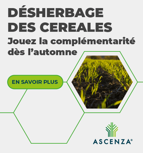 202606_ASCENZA_HOME