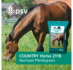 Pferdeweide | COUNTRY Horse 2118