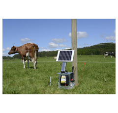 Poste mixte 12 V Farmer AN200 - HORIZONT