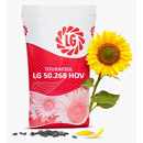 Tournesol oléique très précoce - LG 50.268
