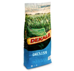Maíz grano FAO 400 - DKC5159