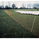 Euro-Netz Geflügel 112/1 50m