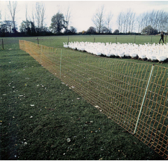 Euro-Netz Geflügel 112/1 50m