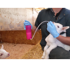 Rehydrateur agneau Trusti Tuber 240 ml - ANTAHI