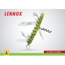 Blé tendre de printemps - Lennox - BIO