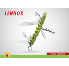 Blé tendre de printemps - Lennox