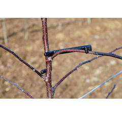 REMA - Astfixsortiment 150