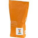 Saatmais - KWS Benedictio (S230 K230) KWS