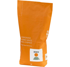 Saatmais - KWS Gustavius (S240 K230) | KWS