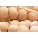 Pois protéagineux jaune de printemps - Perceval