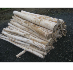 Machine à écorcer les pieux ROBOPEL 150 - RABAUD